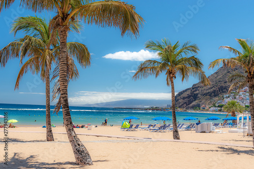 Tenerife  palm trees on the beach