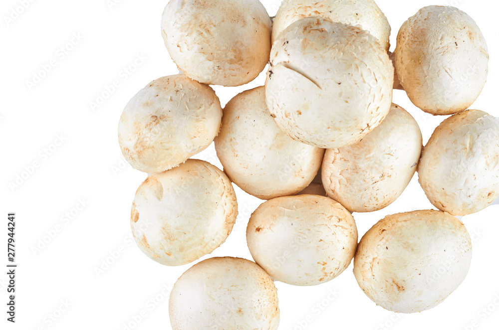 Fresh champignons isolated on white background. The view from the top. Background of organic food.