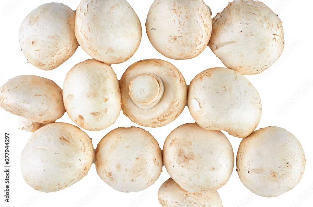 Fresh champignons isolated on white background. The view from the top. Background of organic food. Fresh champignons isolated on white background. The view from the top. Background of organic food.