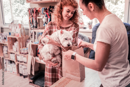 Cuadro en lienzo Dog looking into bag while shopping in pet shop with owner