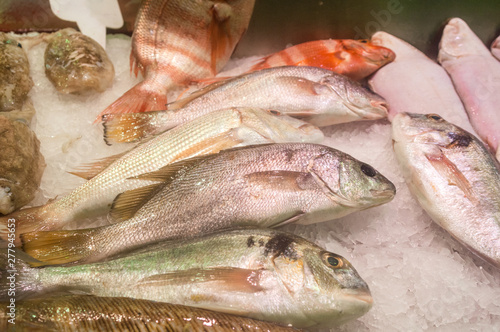 Fresh fish on ice at the market stall