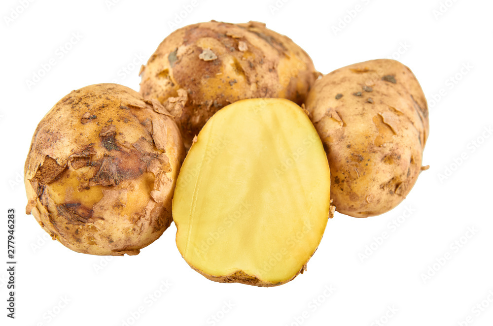 Fresh white potatoes isolated on white background. Background of organic food. Fresh white potatoes isolated on white background. Background of organic food.