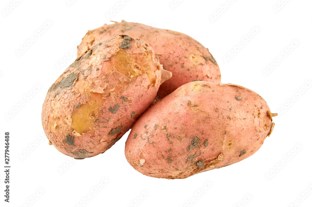 Fresh red potatoes isolated on white background. Background of organic food. Fresh red potatoes isolated on white background. Background of organic food.