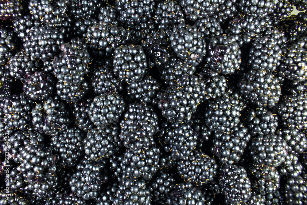 berries blackberries poured out in a few layers berries blackberries poured out in a few layers