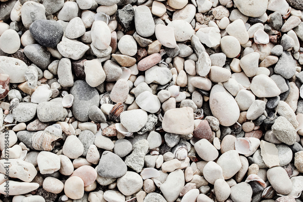 Closeup of white and gray pebble stones and sea shells on beach. Ocean, seashore natural textured background. Summer vacation concept. Flat lay, top view. Closeup of white and gray pebble stones and sea shells on beach. Ocean, seashore natural textured background. Summer vacation concept. Flat lay, top view.