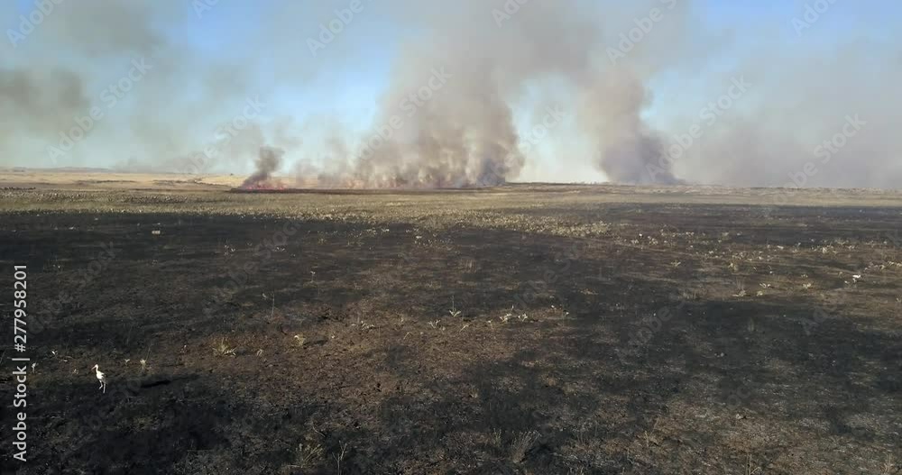 Fire in Golan Heights Aerial view Flying over fire at in Golan Heights, Israel Fire in Golan Heights Aerial view Flying over fire at in Golan Heights, Israel