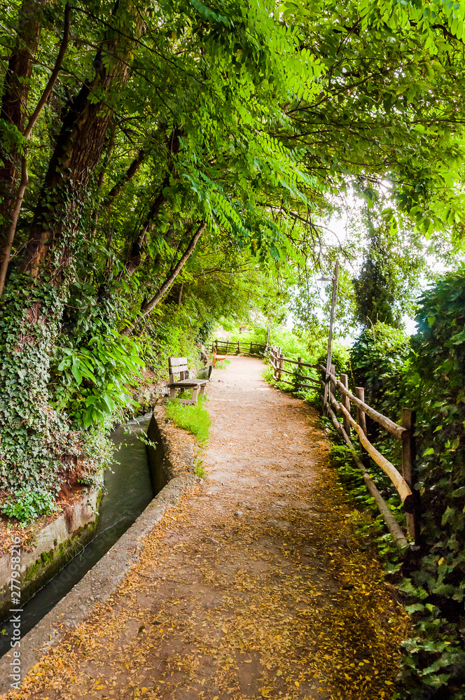 Algund, Waalweg, Wanderweg, Wald, Wasserversorgung, Vinschgau, Südtirol, Sommer, Italien Algund, Waalweg, Wanderweg, Wald, Wasserversorgung, Vinschgau, Südtirol, Sommer, Italien