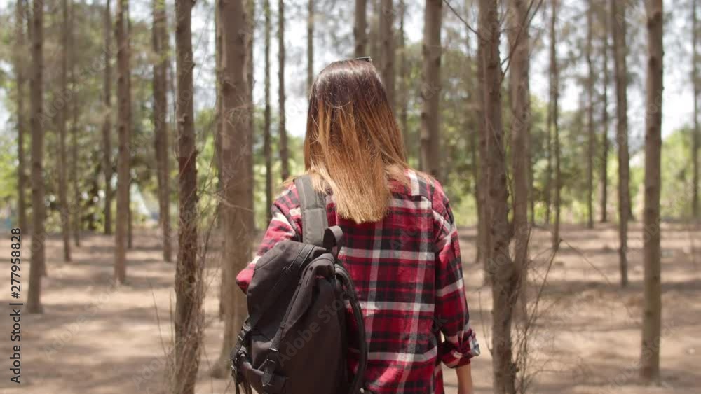 Asian hiker woman trekking in forest. Young happy backpack girl walking enjoy her journey, travel nature and adventure trip, climb mountain lot of tree in fall holidays vacation concept. Slow motion. Asian hiker woman trekking in forest. Young happy backpack girl walking enjoy her journey, travel nature and adventure trip, climb mountain lot of tree in fall holidays vacation concept. Slow motion.