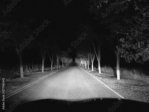 road and forest in the dark