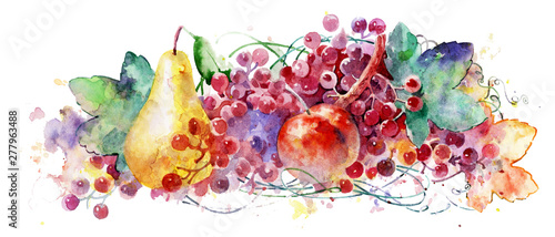 Beautiful watercolor fruit on a white background. Beautiful ripe fruits. Colorful illustration.