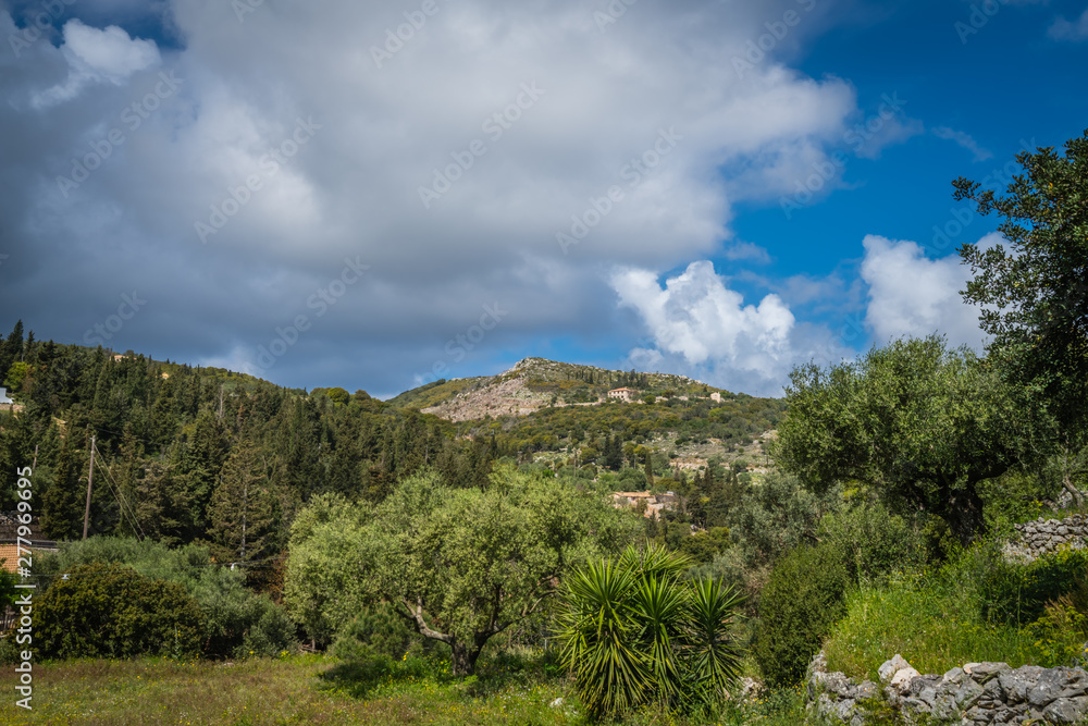 Green countryside in the Askos region of Zante Green countryside in the Askos region of Zante