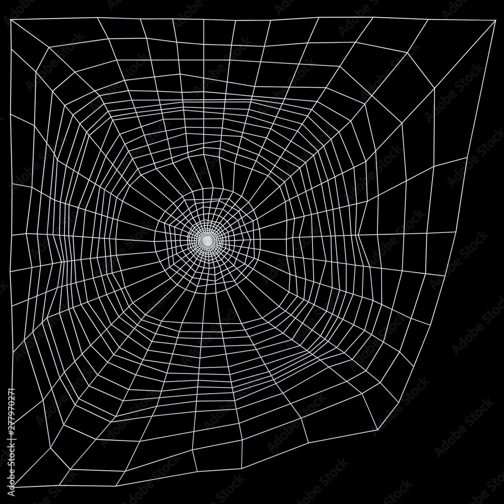 Spider web 3d illustration isolated on the black background