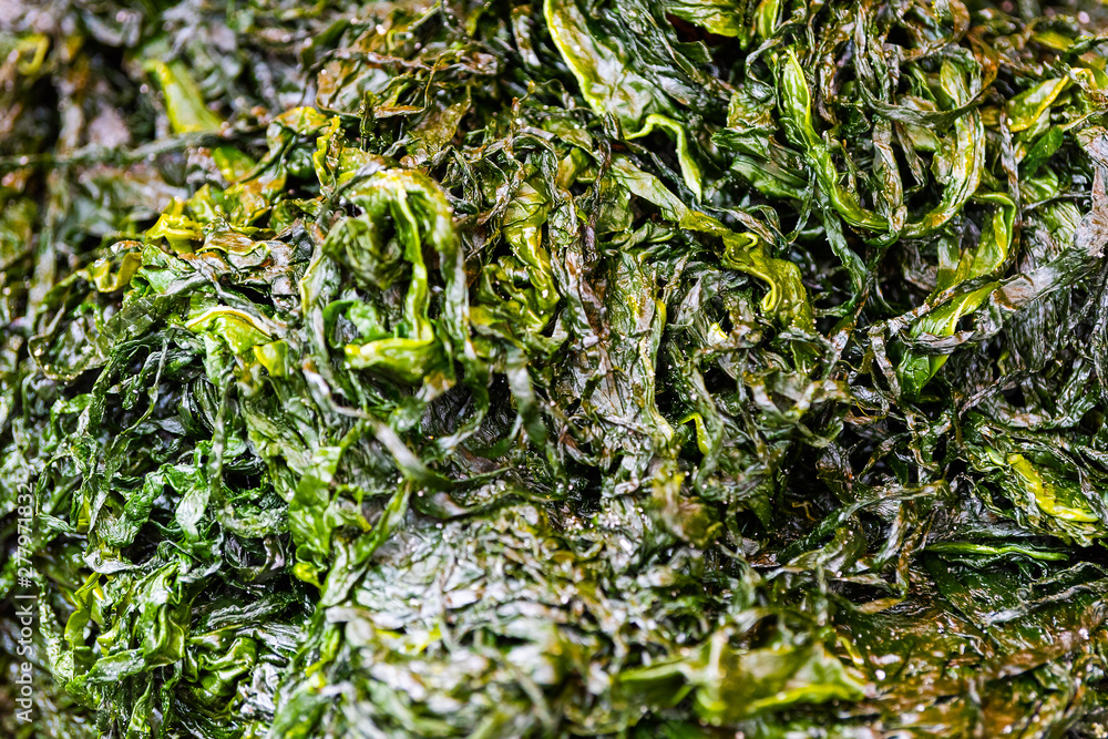 Retail store display of wakame or nori soaked fresh raw green color seaweed in Tsukiji outer street fish market in Tokyo, Japan