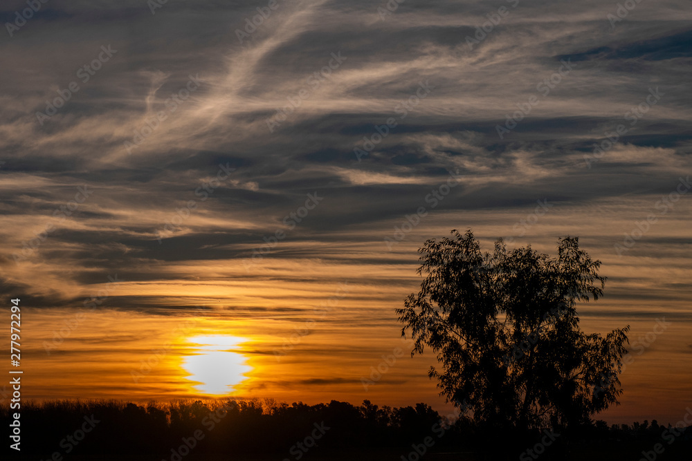 Fototapeta premium Atardecer en el campo. Bella tarde con suaves nubes coloridas por el sol poniente en un campo de Domselaar, Buenos Aires, Argentina.
