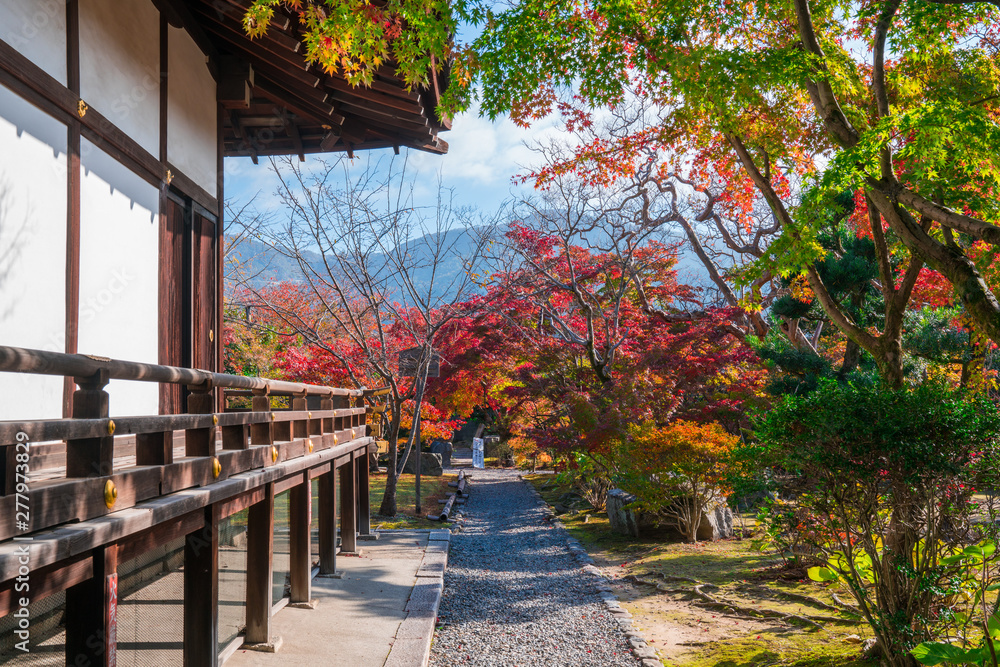 京都　勧修寺の紅葉　　