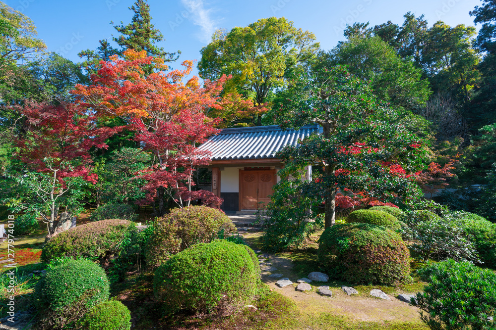 京都　随心院の小町堂と紅葉