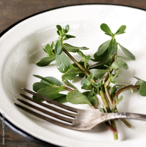 purslane on the plate. potulak- edible useful weed. concept of edible wild plants. Turkish, Greek, Mexican cuisine.