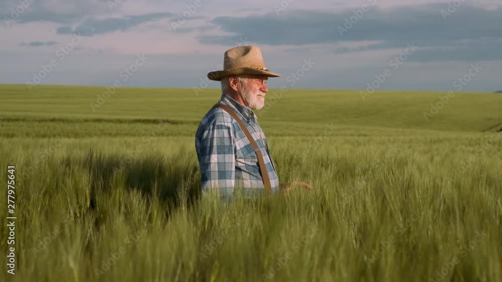 Skilled Old Farmer. Agriculture, Farming Concept. Skilled Old Farmer. Agriculture, Farming Concept.