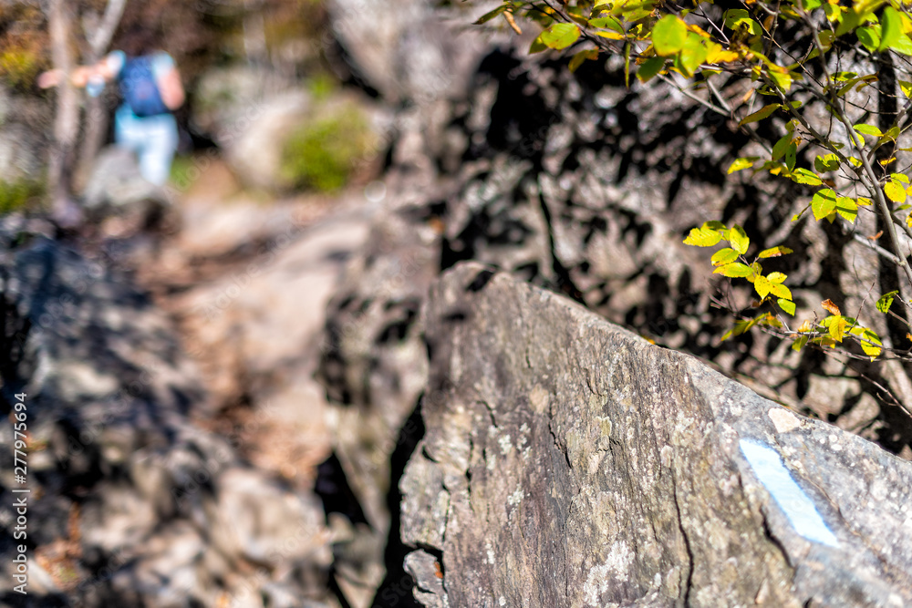 Trail blue paint marking or mark on rock on Billy goat trail hike in Great Falls park with autumn colorful foliage, person and people in blurred background Trail blue paint marking or mark on rock on Billy goat trail hike in Great Falls park with autumn colorful foliage, person and people in blurred background
