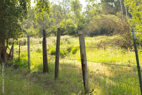 barbed wire fence field landscape  photo