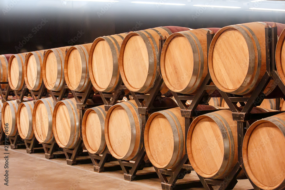 Wooden Wine Barrels in Wine-Vault. Spain. Europe.