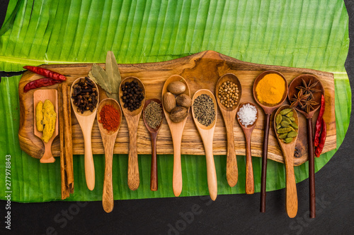 スパイスの集合写真 Group photo of representative spices 