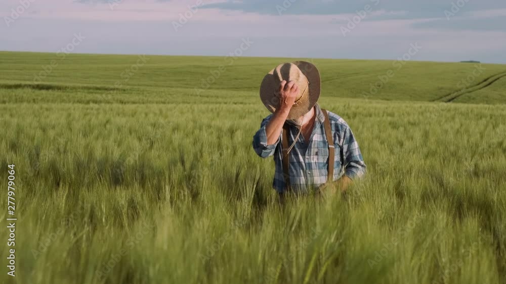 Skilled Old Farmer. Agriculture, Farming Concept. Skilled Old Farmer. Agriculture, Farming Concept.