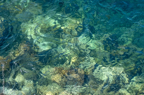 Crystal Clear Green Sea Water Forming a Pattern Over Shallow Rocks