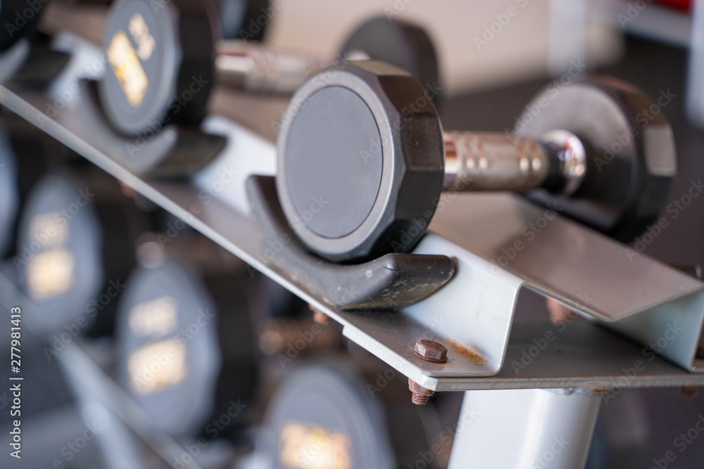 dumbbell for exercise in fitness dumbbell for exercise in fitness