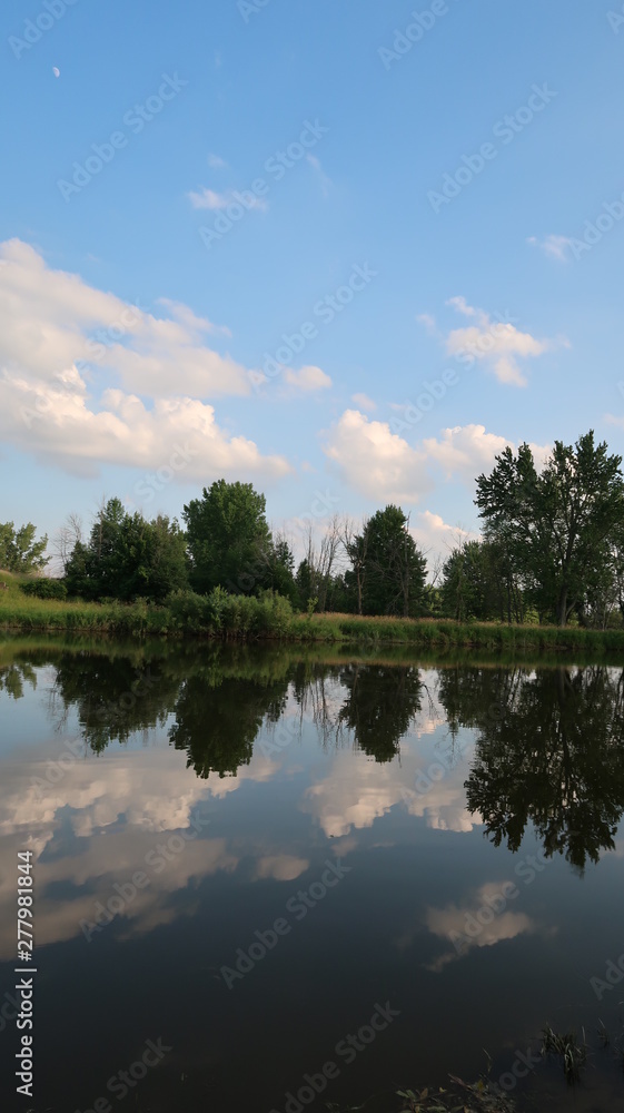 reflection of trees in water reflection of trees in water