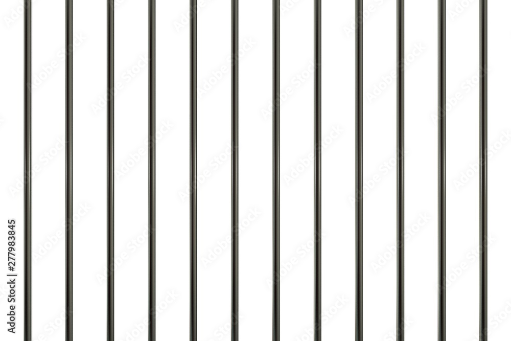 the prison,cage the prison,cage