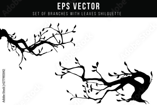 Set Of Branches with Leaves Shilouette