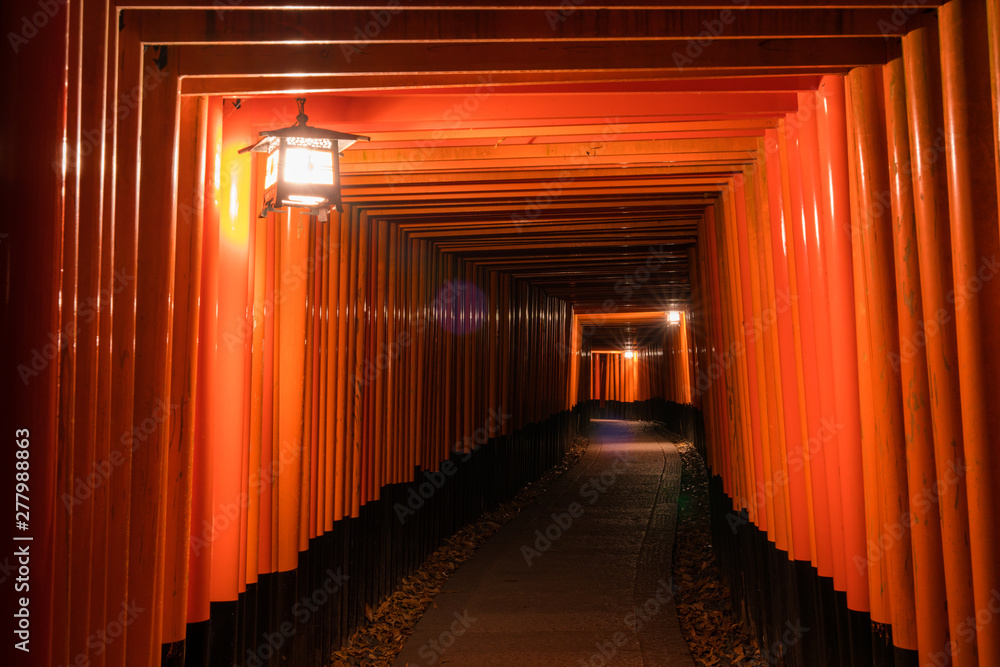 Fototapeta premium 京都 伏見稲荷大社の千本鳥居 夜景