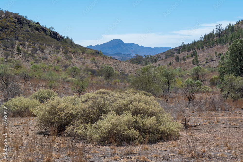 Scenic View in Ikara-Flinders Ranges, South Australia Scenic View in Ikara-Flinders Ranges, South Australia