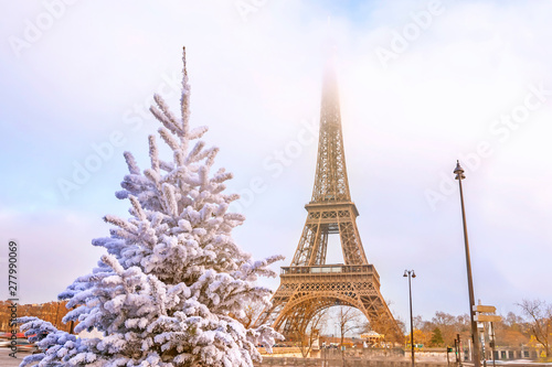 Fototapeta Naklejka Na Ścianę i Meble -  Eiffel Tower is the main attraction of Paris on the background of  frosty Christmas trees covered by snow in winter. Travel Greeting Card from Paris with love, France