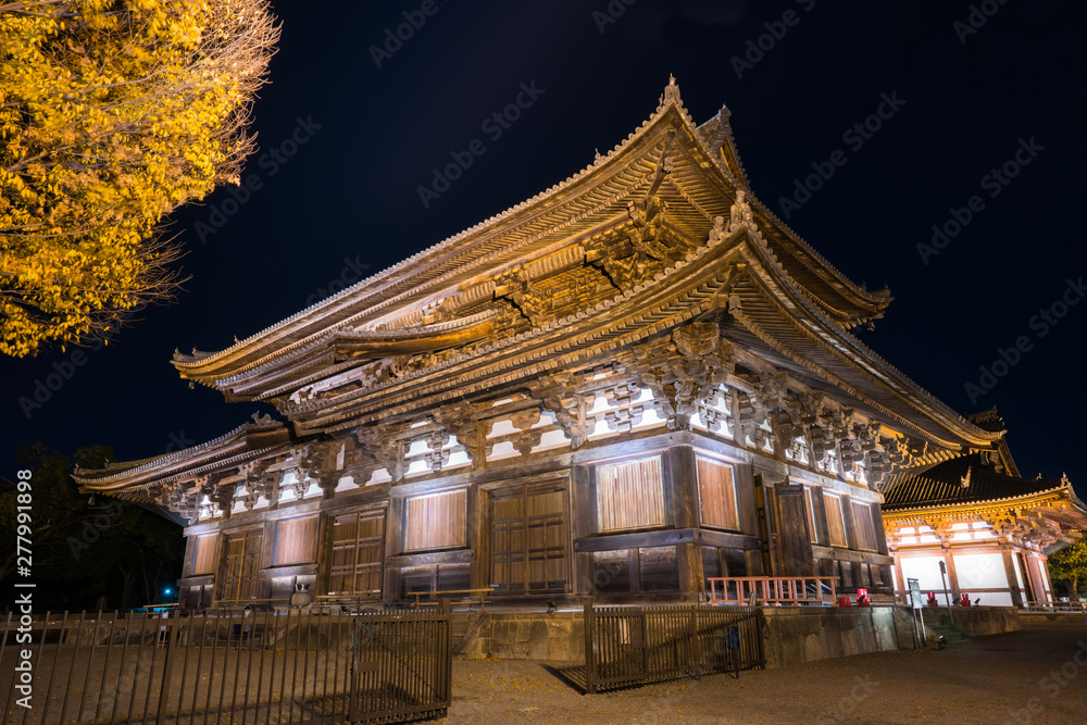 Fototapeta premium 京都 東寺の金堂 夜景