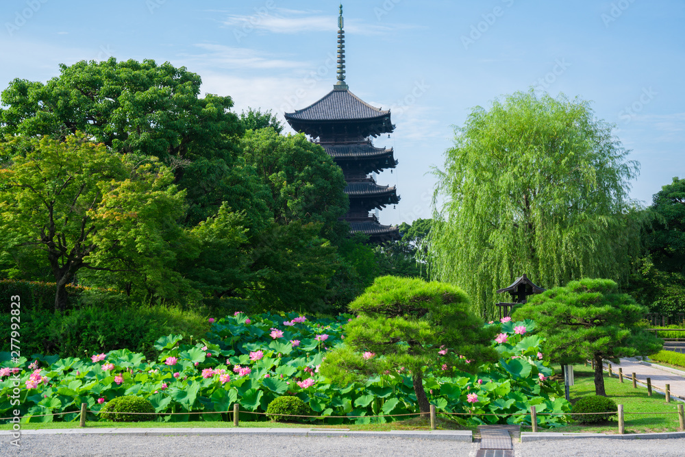 京都東寺の五重塔と蓮の花夏stock Photo Adobe Stock