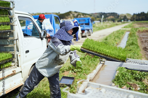 田植えで苗を運ぶ農家さん