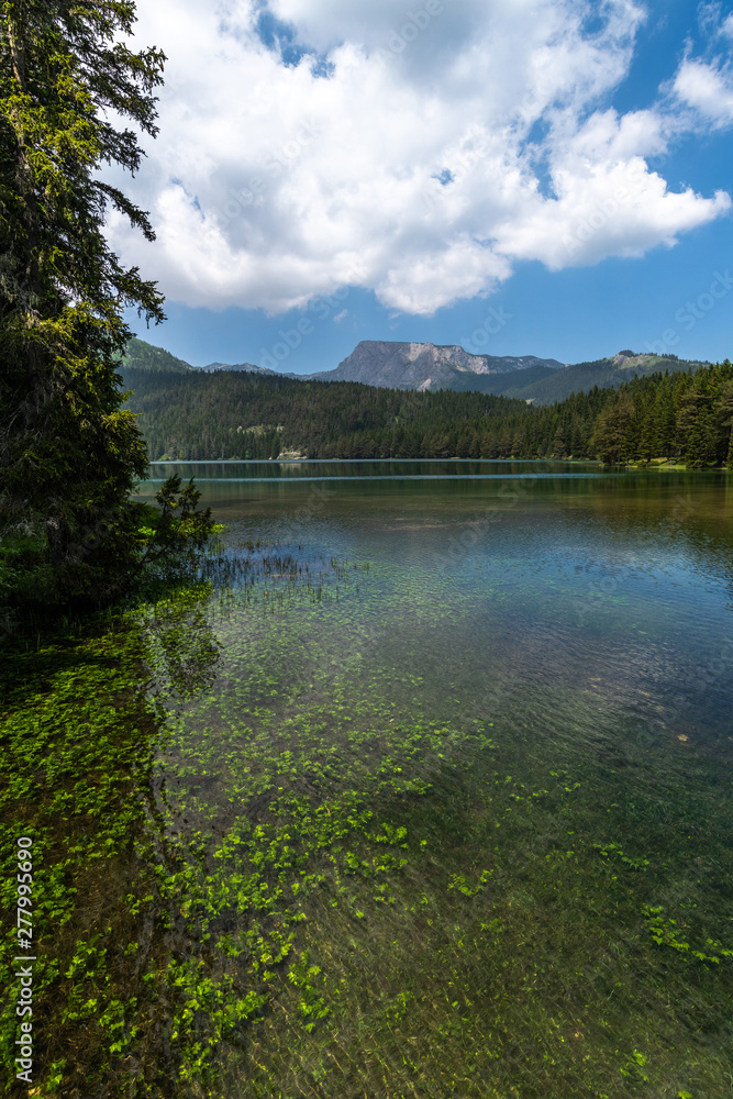 Fototapeta premium Montenegro, Black Lake in a Durmitor Park