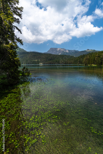 Montenegro, Black Lake in a Durmitor Park