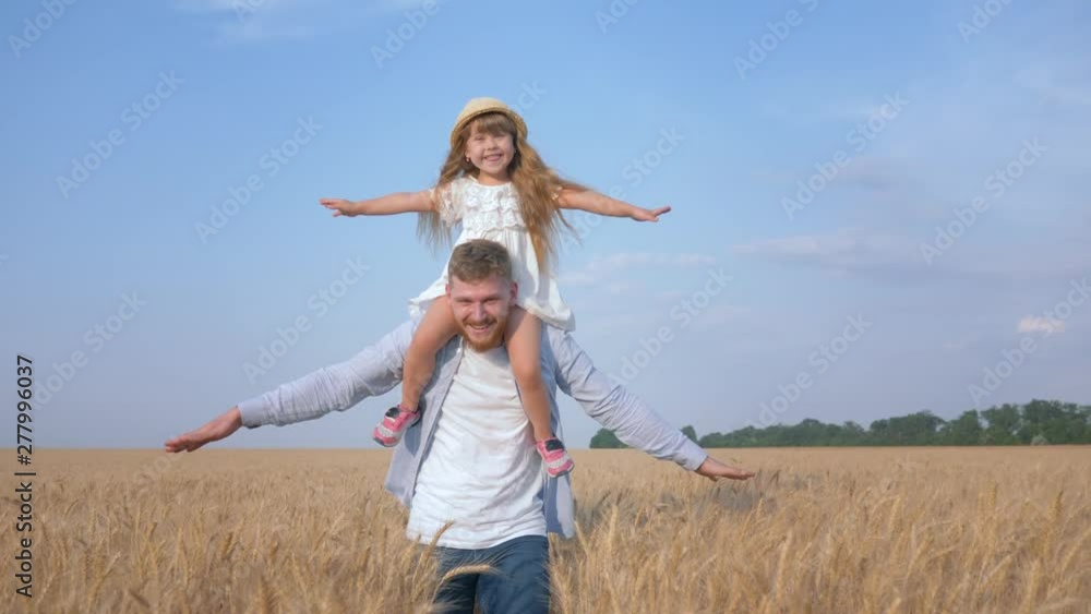 happy rural childhood, cheerful young father carries his beloved child girl on shoulders and goes spreading hands to the side making as plane in yield season of sunny grain oat field against blue sky happy rural childhood, cheerful young father carries his beloved child girl on shoulders and goes spreading hands to the side making as plane in yield season of sunny grain oat field against blue sky