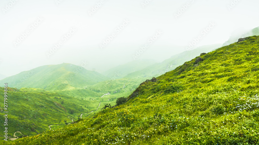 paisaje verdoso