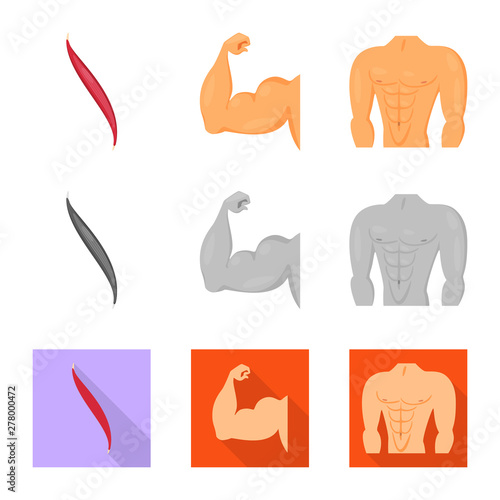 Vector illustration of fiber and muscular sign. Set of fiber and body stock symbol for web.