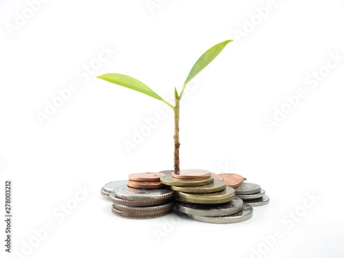 trees growing on coins, saving, growth, economic concept