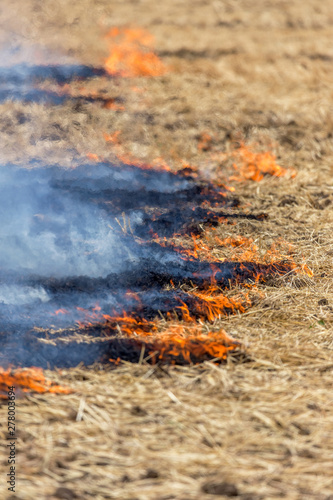 Forest and steppe fires dry completely destroy the fields and steppes during a severe drought. Disaster brings regular damage to nature and economy of region. Lights field with the harvest of wheat