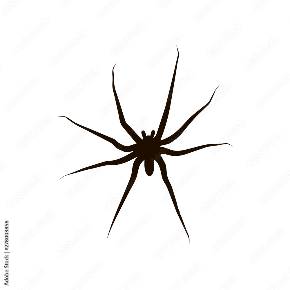 Black silhouette spider. Spider icon, Isolated. Spider logo template. Halloween symbol. Black tattoo design. Black silhouette spider. Spider icon, Isolated. Spider logo template. Halloween symbol. Black tattoo design.
