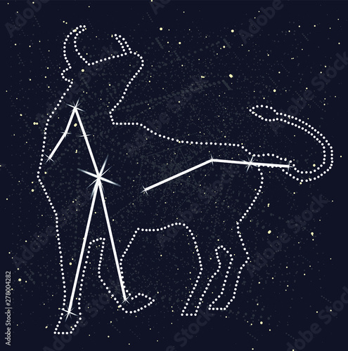 Vector image of a Taurus. The zodiacal constellation.