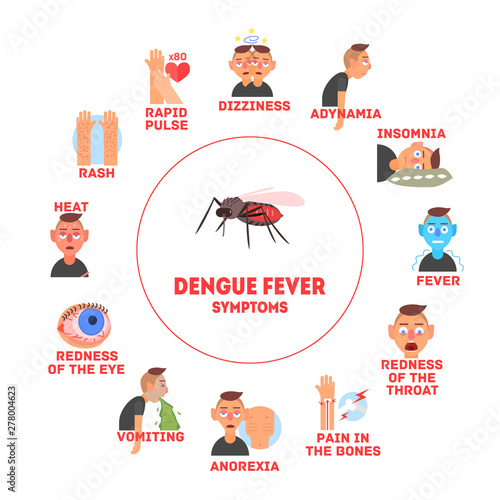 Dengue Fever Symptoms Information Banner Template Vector Illustration