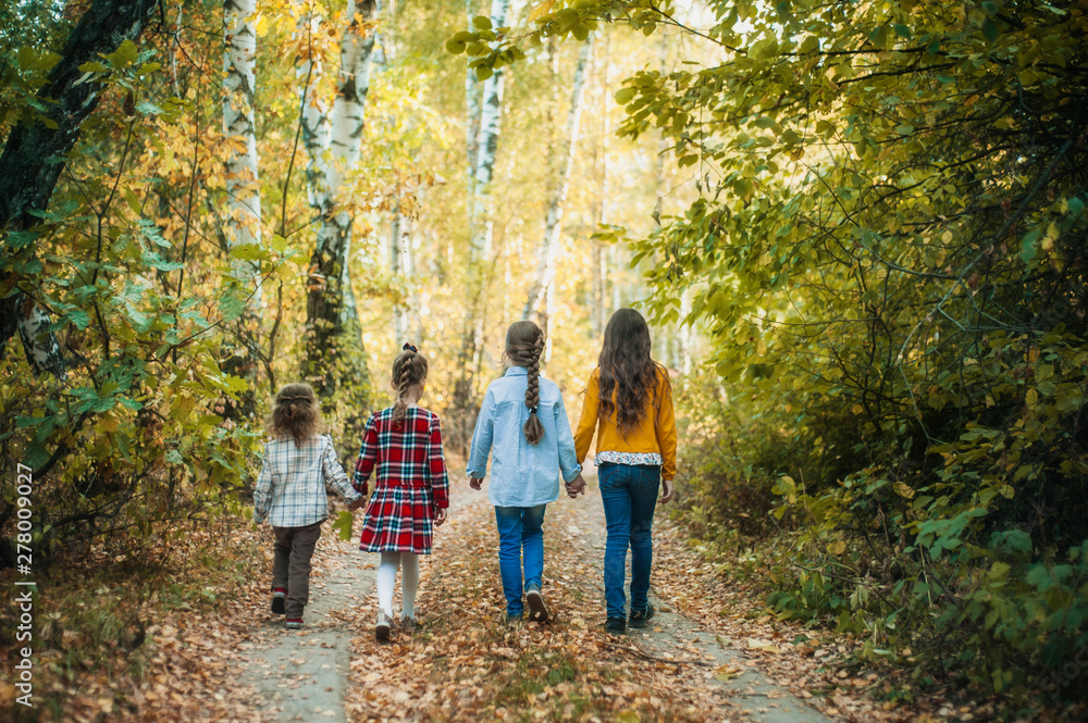 A group of four children in the autumn forest. Children go on the road to the forest. View from the back