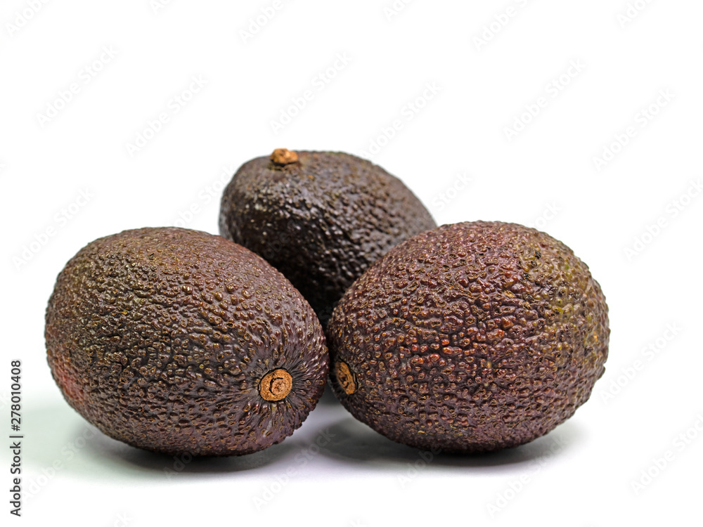 Drei Avocados, Persea gratissima, vor weißem Hintergrund Drei Avocados, Persea gratissima, vor weißem Hintergrund